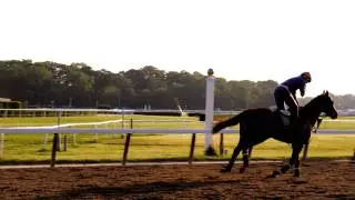 California Chrome morning workout