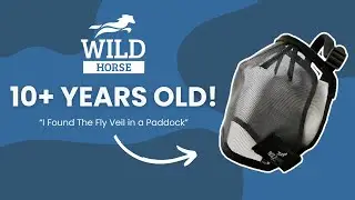 10+ Year Old WILD Horse Fly Veil!
