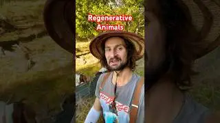 Regenerative Animals on the Farm and Homestead