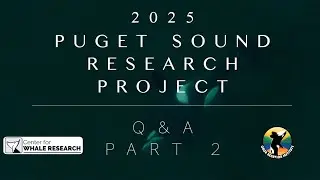 2025 Puget Sound Research Project Q&A  (Part 2) | Southern Resident Orcas