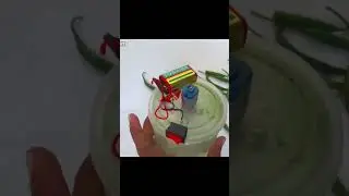 amazing home made green Chili machine react Nation  mini gear