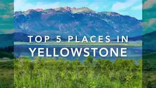 Top 5 Places to See in Yellowstone National Park