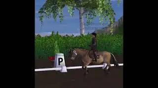 🥰Premier Cours de reprise de Dressage du club Evil Heart 💔🐴 - SSO -