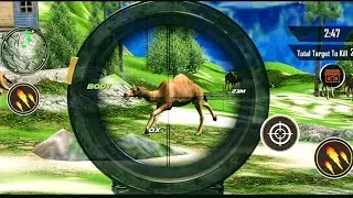 Wild Animal Hunting Games 2023 - new animal games - Android Gameplay#