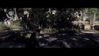 Mega Doge fight