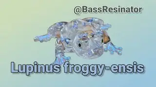 Lupinus froggy-ensis