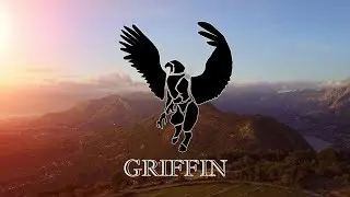 The Beastiary &ndash; Griffin: Myth and Reality