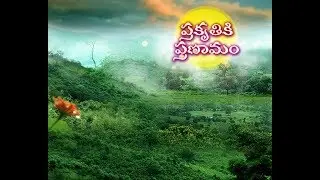 Nature's Beauty | Watch This Beautiful Scenery of Manyam Area of | East Godavari Dist