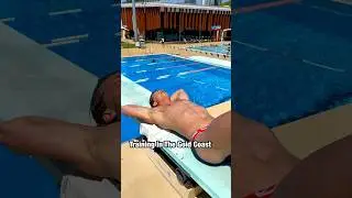 Gold Coast Diving
