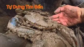 Sát Thủ Ra Sông Lớn Bắt Cá Mãi Mê Bắt Gặp Toàn Cua Khổng Lồ