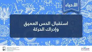 استقبال الحس العمیق وإدراك الحركة | الأحیاء | فسیولوجیا الجھاز العصبي المتقدمة