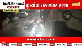 पिंपची चिंचवडमध्ये कुत्र्यांची दहशत | Pimpri-Chinchwad News