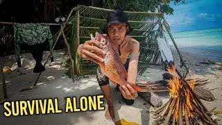 bertahan hidup dipulau Tak Berpenghuni dan membangun shelter sederhana