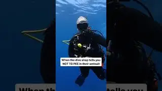 To pee or not to pee in your wetsuit