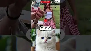 You Won&rsquo;t Stop Laughing 😂 Funniest Cat Reactions Ever#trending
