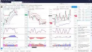Understanding the TradersHelpDesk RSI Indicator