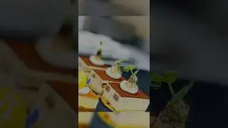 Best Italian dessert tiramisu making #cake #viralvideo #shorts #shortvideo #chef