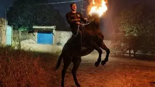 He went crazy and rode the headless mule #headlessmuleforkids #headlessmule #mule