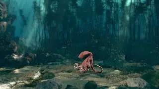 Beneath the Kelp Canopy Breakdown