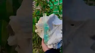 Museum Grade Aquamarine Specimen || #shorts #crystals #minerals
