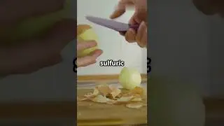 Why Do Onions Make You Cry? 🧅 It&rsquo;s Chemistry!