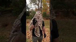 Как пройти сквозь листья МОЛЧА 🍁🍂🍁🍂🍁