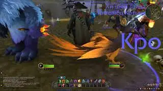 World Of Warcraft Orange Phoenix Hunter Pet Review