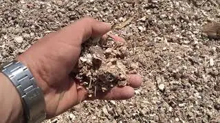 Proceso de Secado de Yuca (Manihot esculenta), Zona Rural Municipio de Corozal - Sucre - Colombia