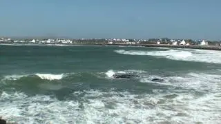 The Moods of Trearddur Bay