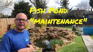 How to maintain a fish pond - How to clean fish pond advisor