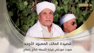 صوت موزعي قصيدة المالك المعبود الأوحد زواج آل بارجاء #تصوير #وسيط_ميديا #حضرموت