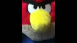 ChaseGrant Angry Birds
