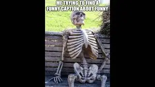 captions #memes