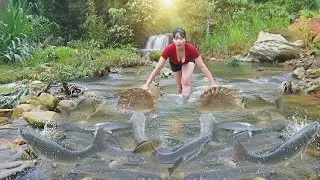 Master Weaving Fish Traps | Catch Giant Fish Efficiently for Selling Success