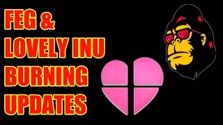 Feg token and lovely inu updates| FEG| LOVELY INU| Mr.VS Crypto