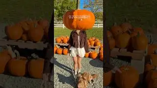 #pumpkinpatch #falloutfitinspo #pumpkinseason #pinterest