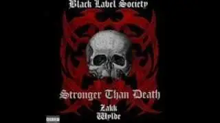 Zakk wylde - Love Reign Down