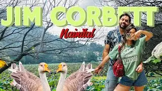 Wild Adventures in Jim Corbett & Peaceful Nainital | Cinematic Journey🌼🌴