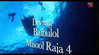 Diving Balbulol Misool Raja 4