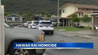 Honolulu police probe Hawaii Kai homicide; family members held