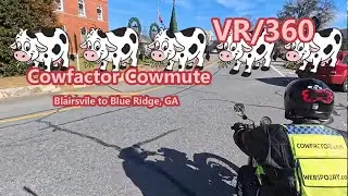 Cowmute Blairsville To Blue Ridge