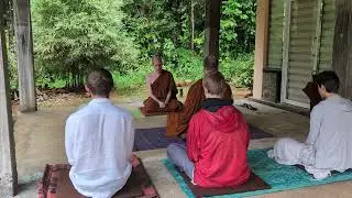 Dhammapada Verses 283 & 284: Like a Baby Calf
