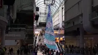 CF Winterville Eaton Centre Christmas Tree Light & Snow Show (December 2, 2023)