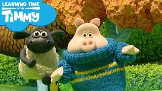 Picnic Time / Loud and Quiet | Learning Time with Timmy | Pre-School Learning | Fun for Kids