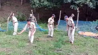 Tripura Police Destroy 10,000 Ganja Plants in Massive Anti Drug Drive