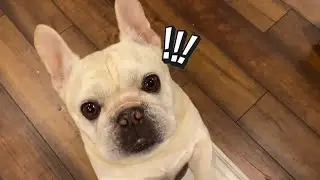SNUPPER TIME - COME EAT WITH US