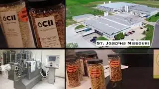 Cii -Cereal Ingredient @ The Plant-based world expo 2022.