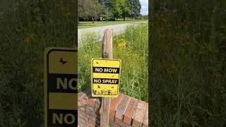 No Mow No Spray Signs!! #nativeplants #conservation