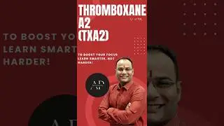 Thromboxane  A2 | TXA2