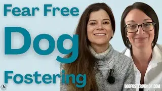 The Fear Free Dog Foster: Building Trust Through Comfort, Consent, and Choice